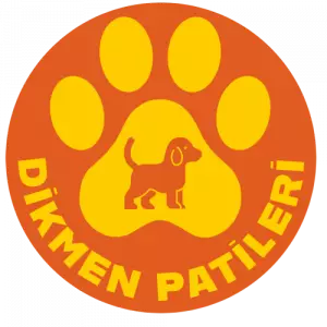 Dikmen Patileri